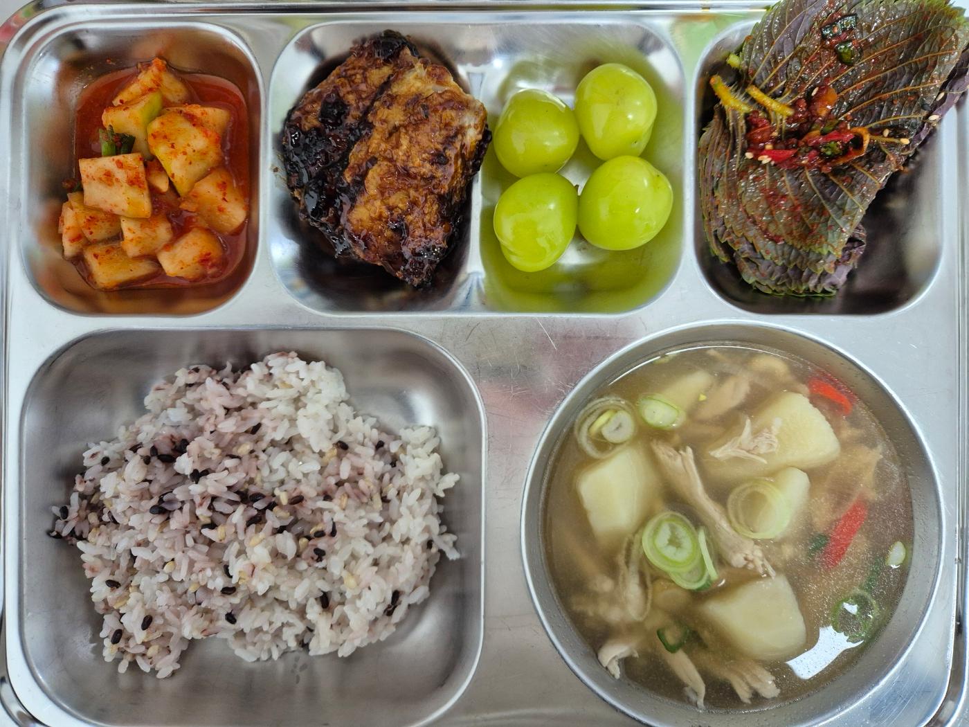 3월11일 식단(발아흑미밥,한방닭곰탕,양념깻잎,삼치유자간장구이,깍두기,청포도) 사진