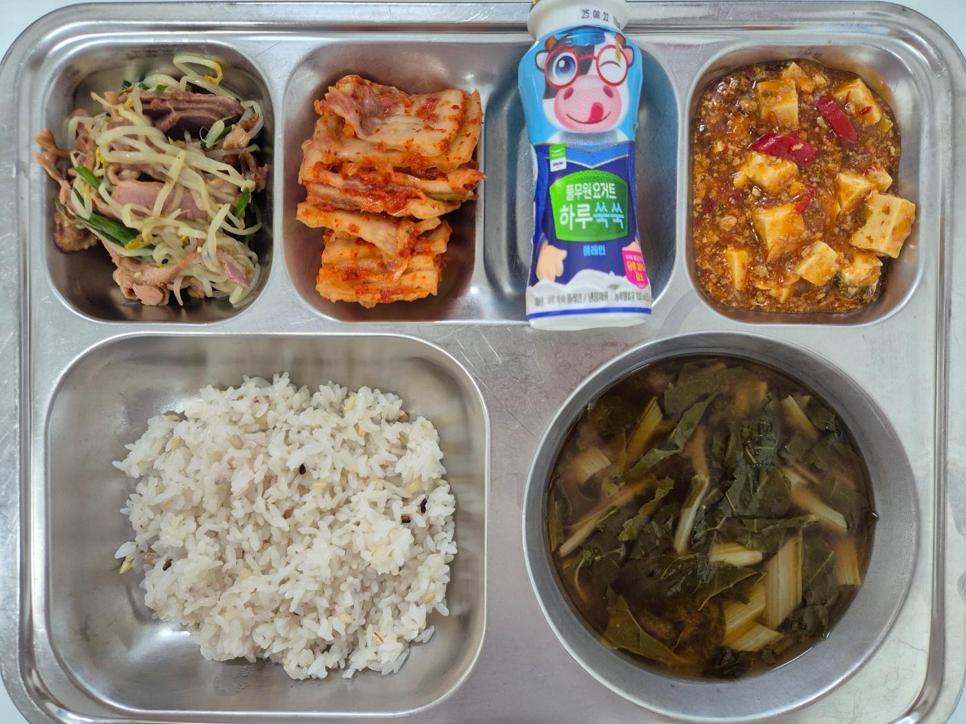 8월7일 식단(혼합잡곡밥,근대된장국,마파두부,훈제오리숙주볶음,배추김치,요구르트) 사진