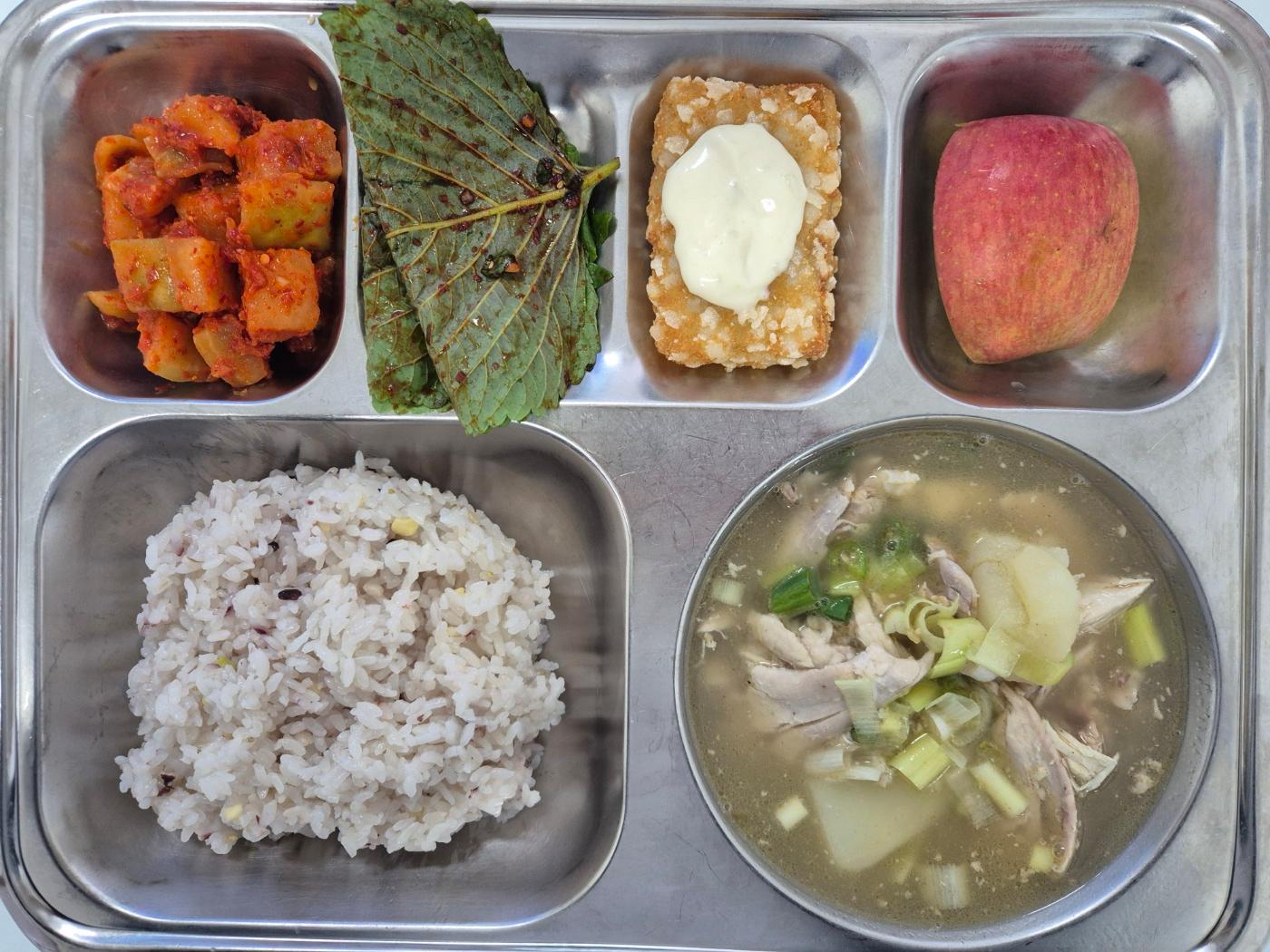 6월8일 식단(혼합잡곡밥,한방닭곰탕,양념깻잎,별이내리는명태가스,깍두기,강릉사과) 사진